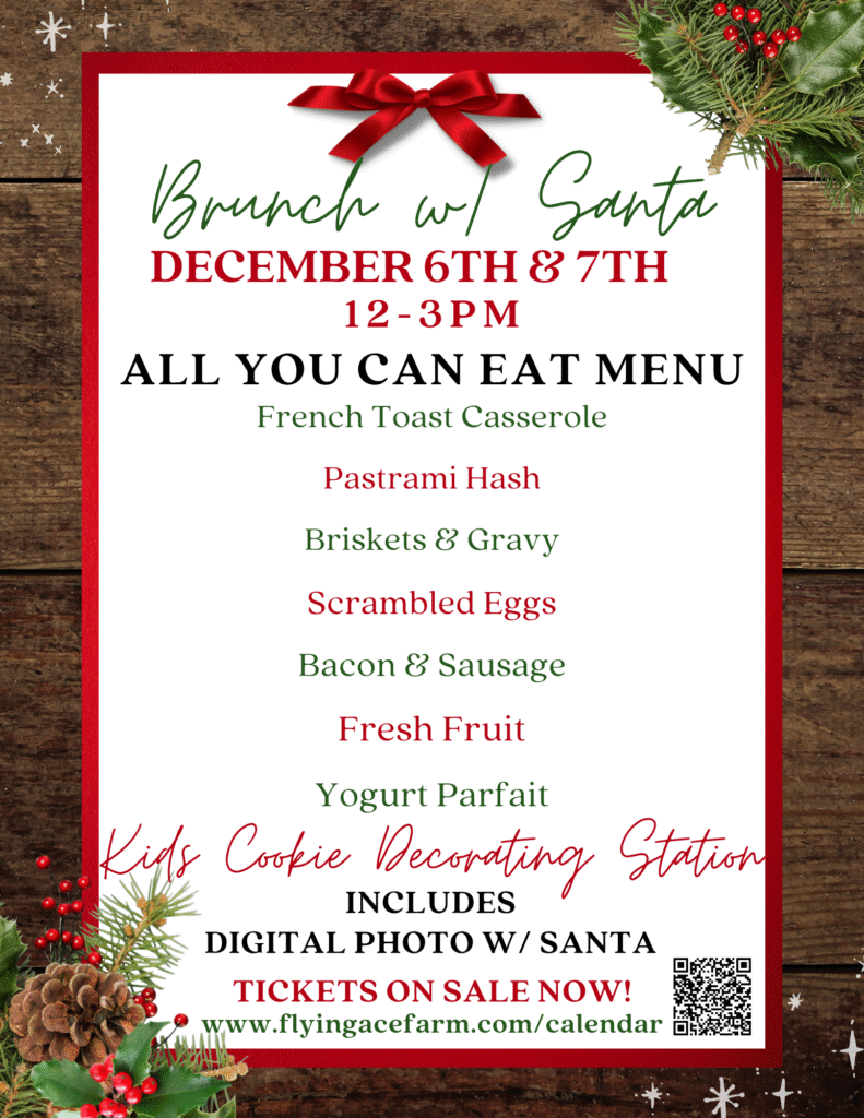 BRUNCH W SANTA Menu FLYER 2025 1