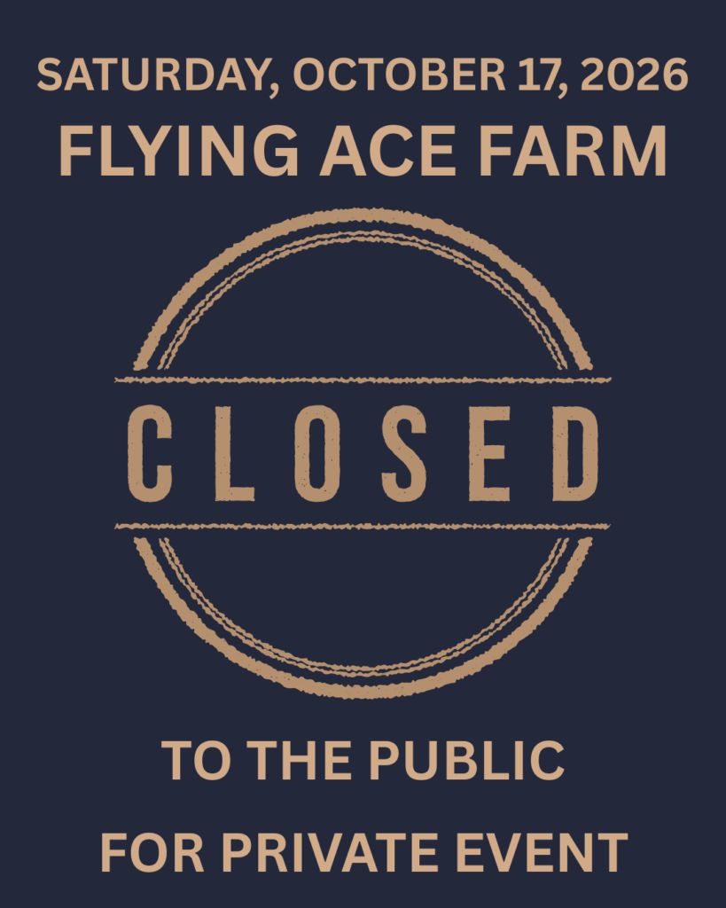 BUSINESS CLOSED TO THE PUBLIC 2 AIRBUS CLOSED SIGN